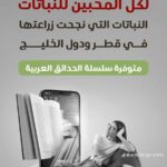 whatsapp image 2025 10 17 at 3.39.58 pm (2)