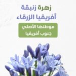 whatsapp image 2025 10 17 at 3.39.59 pm (1)