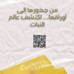 whatsapp image 2025 10 17 at 3.40.00 pm