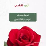 whatsapp image 2025 10 17 at 3.40.00 pm (2)